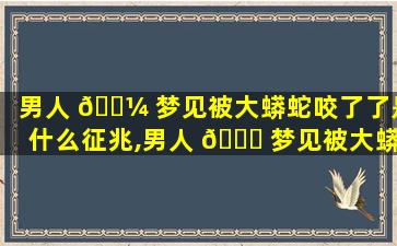 男人 🐼 梦见被大蟒蛇咬了了是什么征兆,男人 🍁 梦见被大蟒蛇咬了了是什么征兆解梦